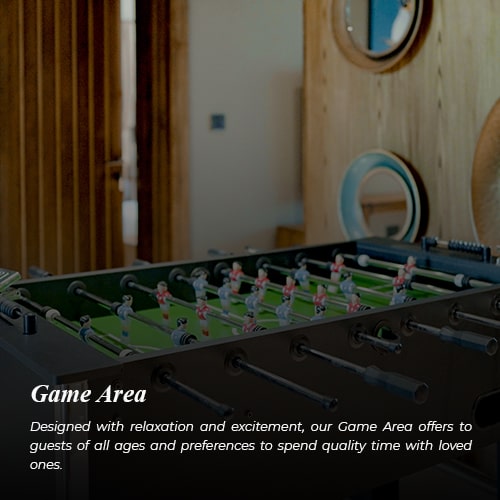 Game Area (2)-min